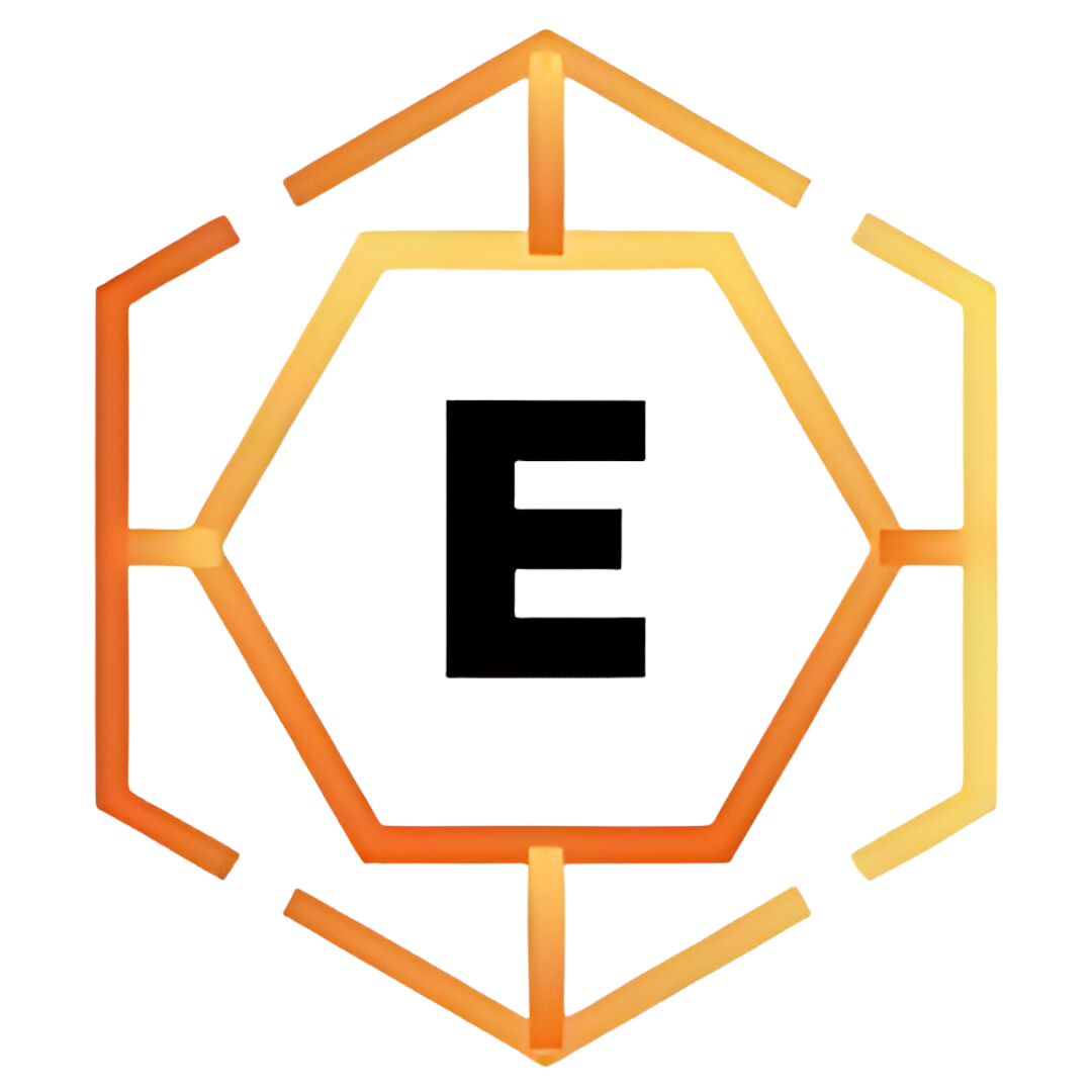 Enviseer Logo